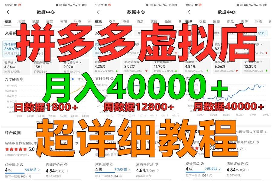 拼多多虚拟电商训练营月入40000+，全网最详细，你做你也行，暴利稳定长久-点子口袋网
