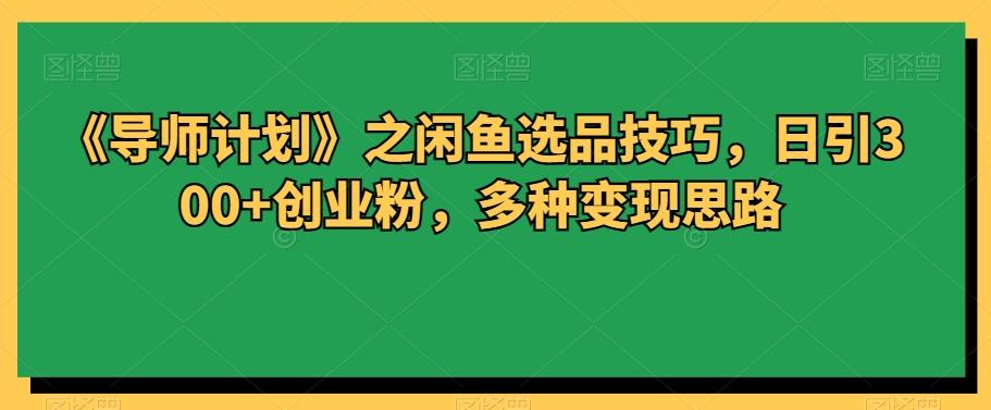 《导师计划》之闲鱼选品技巧，日引300+创业粉，多种变现思路-点子口袋网