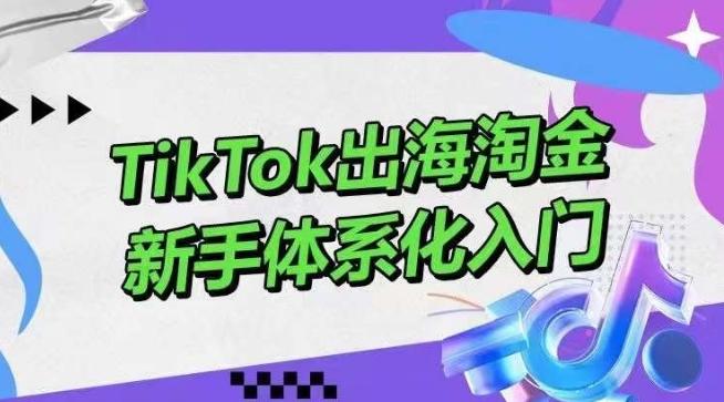 TikTok出海淘金，新手体系化入门，零基础快速入门，掌握短视频、直播带货等引流到变现的知识-点子口袋网