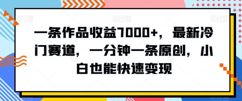 一条作品收益7000+，最新冷门赛道，一分钟一条原创，小白也能快速变现-点子口袋网