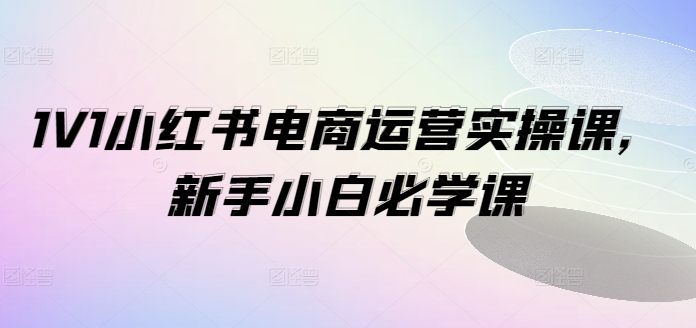 1V1小红书电商运营实操课，新手小白必学课-点子口袋网