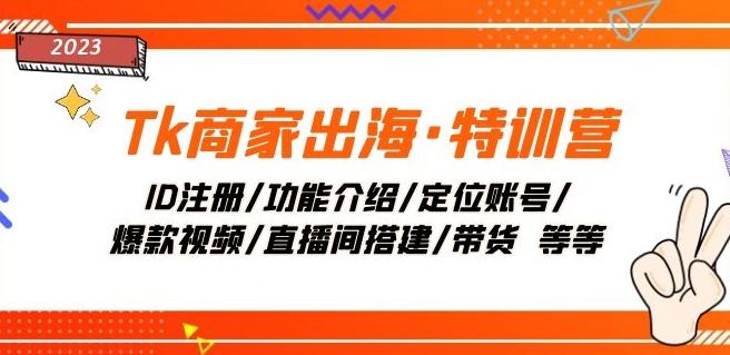 Tk商家出海·特训营：ID注册/功能介绍/定位账号/爆款视频/直播间搭建/带货-点子口袋网