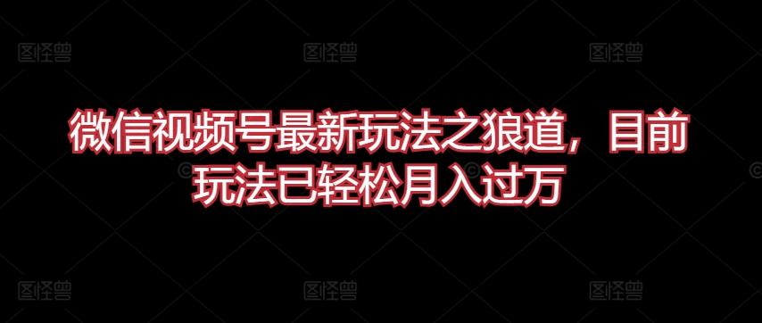 微信视频号最新玩法之狼道，目前玩法已轻松月入过万【揭秘】-点子口袋网