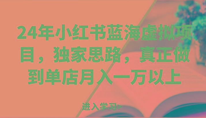 24年小红书蓝海虚拟项目，独家思路，真正做到单店月入一万以上。-点子口袋网