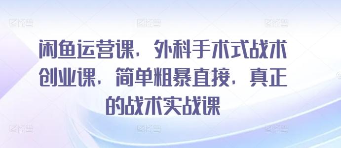 闲鱼运营课，外科手术式战术创业课，简单粗暴直接，真正的战术实战课-点子口袋网