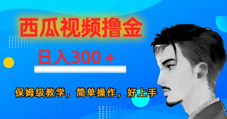 西瓜视频撸金日入300，保姆级教学，简单操作，好上手-点子口袋网