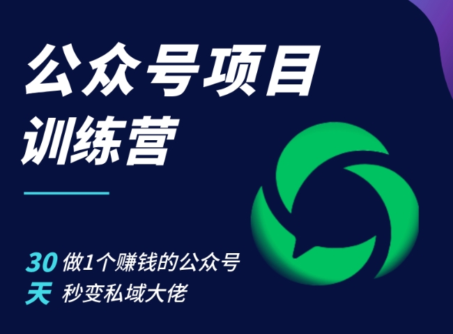 公众号项目训练营，30天做1个赚钱的公众号，秒变私域大佬-点子口袋网