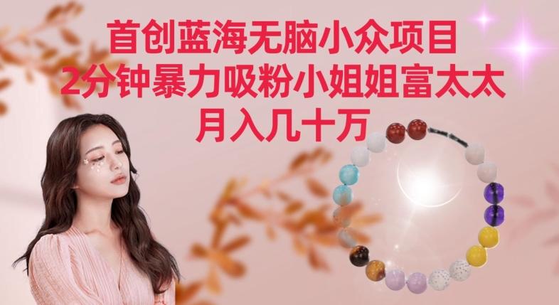 首创蓝海无脑小众项目，2分钟暴力吸粉小姐姐富太太，月入几十万【揭秘】-点子口袋网