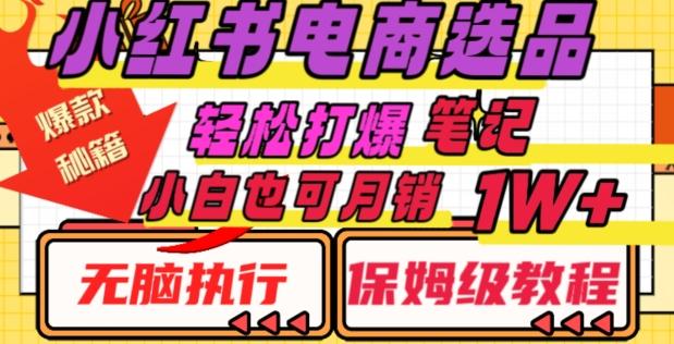 小红书电商爆款选品秘籍，帮你轻松打爆笔记，小白也可轻松月销10000+-点子口袋网