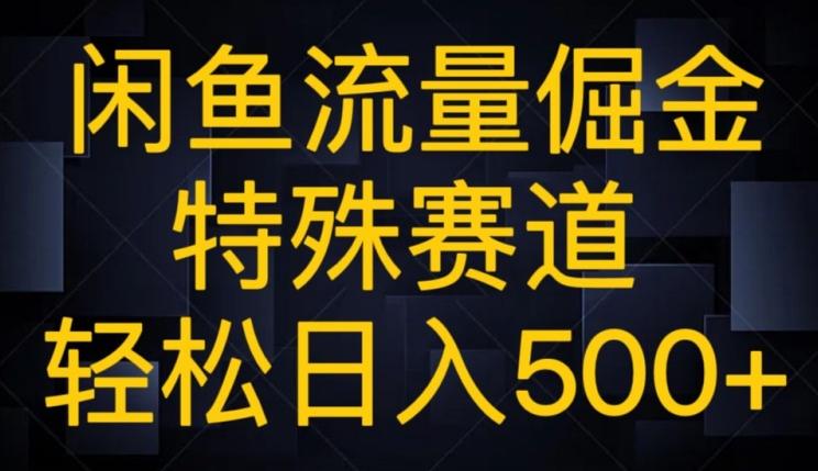 闲鱼流量倔金，特殊赛道，轻松日入500+-点子口袋网