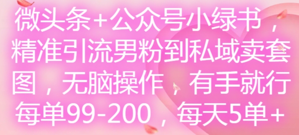 微头条+公众号小绿书，精准引流男粉到私域卖套图，无脑操作，有手就行，每单99-200，每天5单-点子口袋网