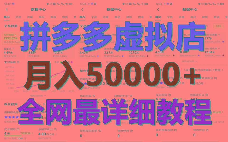 拼多多虚拟电商训练营月入50000+你也行，暴利稳定长久，副业首选-点子口袋网