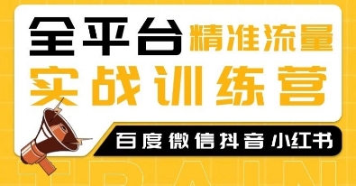 全平台精准流量实战训练营，百度微信抖音小红书SEO引流教程-点子口袋网
