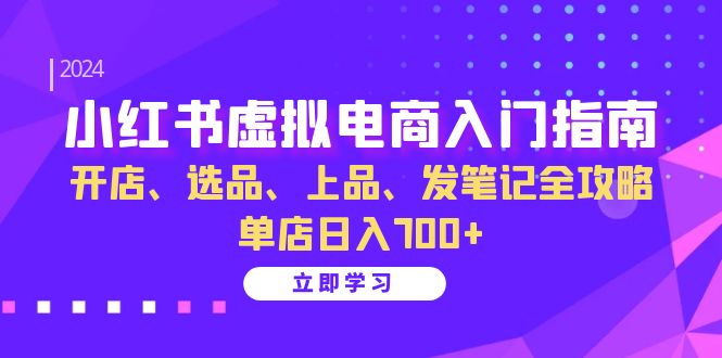 小红书虚拟电商入门指南：开店、选品、上品、发笔记全攻略 单店日入700+(更新)-点子口袋网