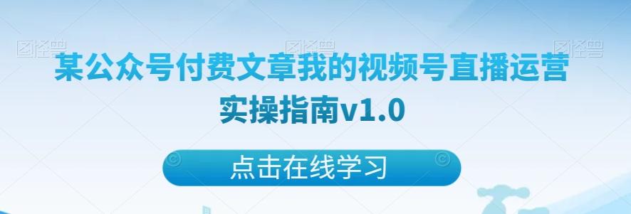 某公众号付费文章我的视频号直播运营实操指南v1.0-点子口袋网
