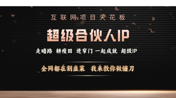 互联网项目天花板，超级合伙人IP，全网都在割韭菜，我来教你做镰刀【仅揭秘】-点子口袋网