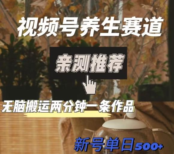 视频号养生赛道暴力掘金，无脑搬运，两分钟一条作品-新日单入500+-点子口袋网