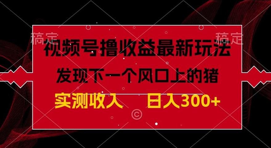 视频号分成计划最新玩法，单条作品几分钟制作完成,日入300+，过年前最后的冲刺-点子口袋网