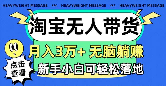 淘宝无人带货3.0高收益玩法，月入3万+，无脑躺赚，新手小白可落地实操-点子口袋网