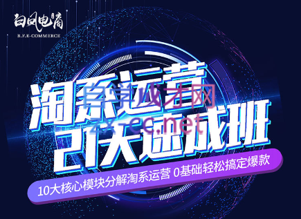 淘系运营21天速成班(更新24年6月)-点子口袋网