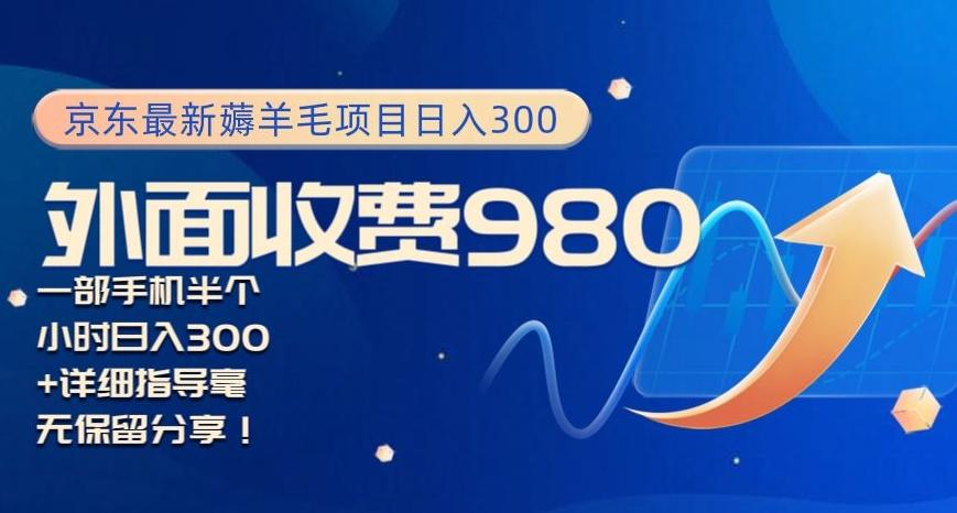 京东最新薅羊毛项目小白怎么做到日入300+一部手机半小时搞定-点子口袋网