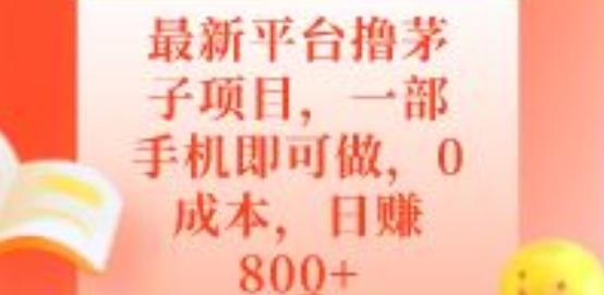 最新平台撸茅子项目，一部手机即可做，0成本，日赚800+-点子口袋网