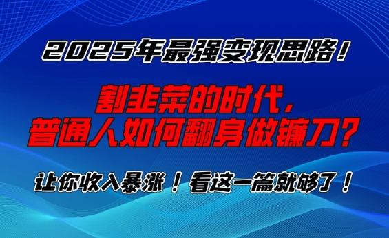 2025年最强变现思路，割韭菜的时代， 普通人如何翻身做镰刀？【揭秘】-点子口袋网