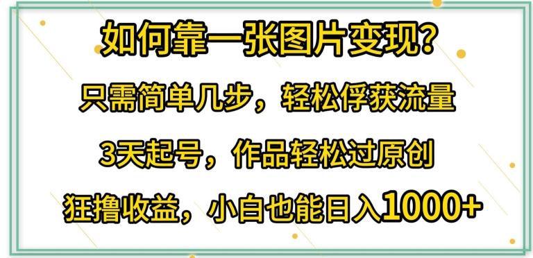 如何靠一张图片变现?只需简单几步，轻松俘获流量，3天起号，作品轻松过原创【揭秘】-点子口袋网