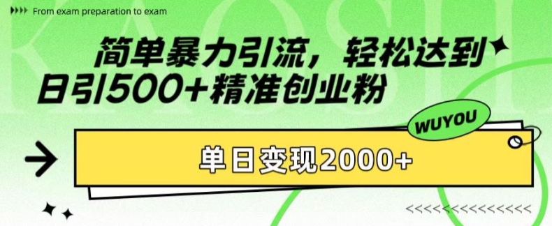 简单暴力引流，轻松达到日引500+精准创业粉，单日变现2k【揭秘】-点子口袋网