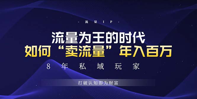未来如何通过“卖流量”年入百万，跨越一切周期绝对蓝海项目-点子口袋网