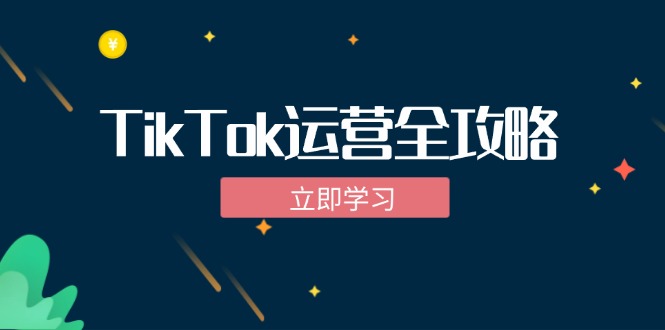 TikTok实战运营全攻略：从下载软件到变现，抖音海外版实操教程-点子口袋网