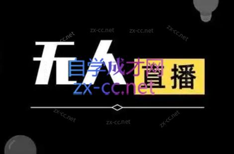 宝子哥·无人直播-非实时防风技术(更新8月)-点子口袋网