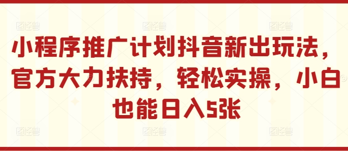 小程序推广计划抖音新出玩法，官方大力扶持，轻松实操，小白也能日入5张【揭秘】-点子口袋网