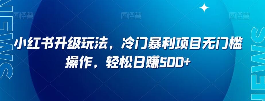 小红书升级玩法，冷门暴利项目无门槛操作，轻松日赚500+【揭秘】-点子口袋网