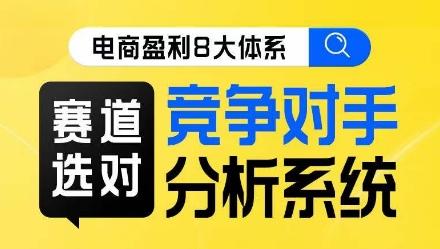 电商盈利8大体系·赛道选对，​竞争对手分析系统线上课-点子口袋网