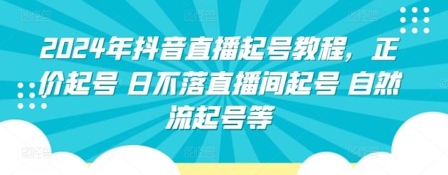 2024年抖音直播起号教程，正价起号 日不落直播间起号 自然流起号等-点子口袋网