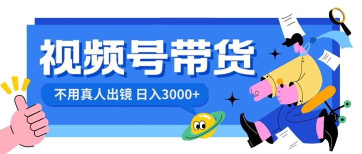 视频号带货，日入3000+，不用真人出镜-点子口袋网