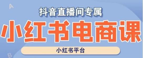 小红书电商高级运营课程，实操教学+案例分析-点子口袋网