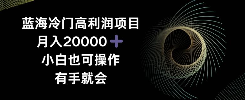 蓝海冷门高利润项目月入2000，小白也可操作有手就会-点子口袋网