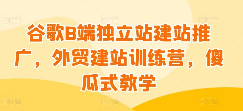 谷歌B端独立站建站推广，外贸建站训练营，傻瓜式教学-点子口袋网