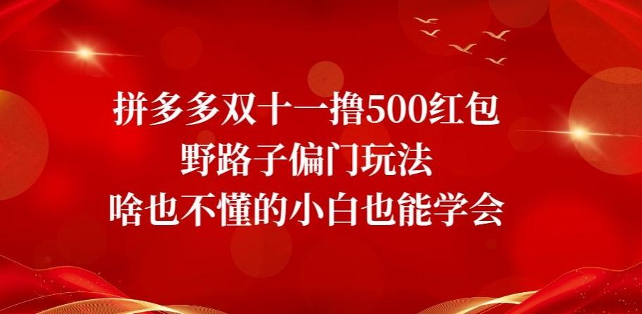 拼多多双十一撸500红包野路子偏门玩法，啥也不懂的小白也能学会【揭秘】-点子口袋网