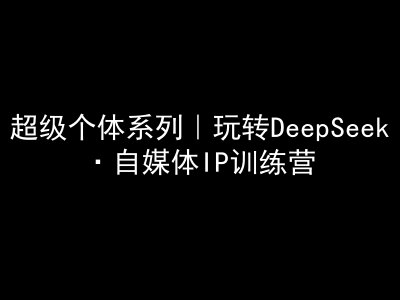 超级个体系列，玩转DeepSeek·自媒体IP训练营，deepseek教程-点子口袋网