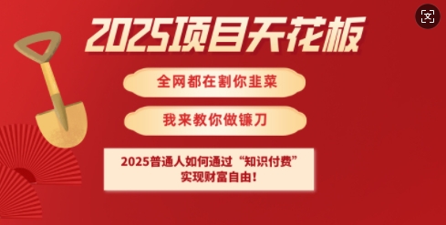 2025项目天花板普通人如何通过知识付费，实现财F自由【揭秘】-点子口袋网