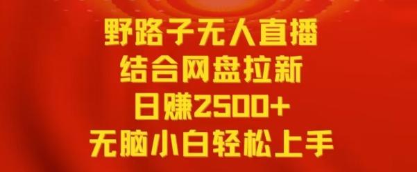 野路子无人直播结合网盘拉新，日赚2500+，小白无脑轻松上手【揭秘】-点子口袋网